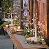 Tabletop White Lighted Plastic Tree 19 inches - Home Decor - Outdoor - Lighting - Wedding - 1 Piece view 4