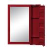 Acme Cargo Vanity Mirror in Red view 2