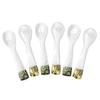 DUEBEL Set of 6 Mother of Pearl MOP Caviar Spoons with Green Abalone Decoration for Caviar, Egg, Icecream, Coffee Serving (White, 9x2.4cm) view 2
