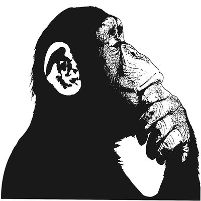 Thinking Monkey Wall Sticker - Banksy Street Art Print Waterproof Vinyl Decal Gift - Bored Chimp Thought Smart Thinker Think Mural