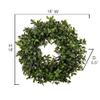Admired By Nature 19" Artificial English Boxwood Wreath - Spring/Summer Wreaths for Front Door, Farmhouse, Wedding, Home & Holidays Decor view 2