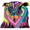 Colorful Owl Wall Sticker - Cute Bird Gift Vinyl Art Decor Decal -Cool Funny Animal Print - Love Window Fancy Pretty Unique Big Mural view 1