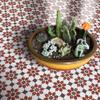 Moroccan Mosaic & Tile House CTP04-18 Ahfir Handmade Cement Tile, Pack of 12, Red, Brown, White view 2