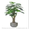 AMERIQUE Gorgeous & Unique Monstera Palm Tree Artificial Plant, Real Touch Technology, with UV Protection, Super Quality, 5.3 Feet, Green view 2
