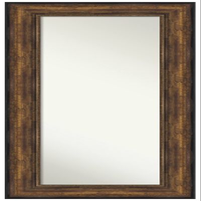 Amanti Art Bronze Full Length Mirror for Door, 56x22 Ballroom Bronze Tall Wall Mirror Full Length, Mounted to Door or Closet Wall with no Visible Brackets, Traditional Frame, Bedroom Decor