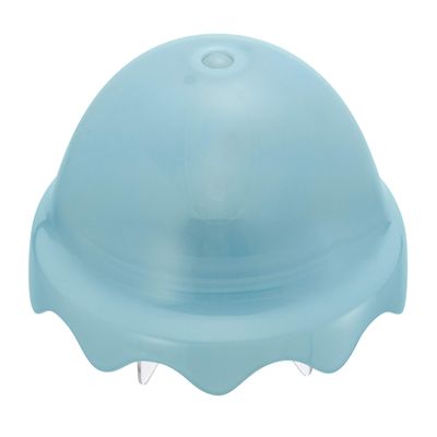 aqua kurage coral ocean