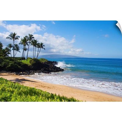 CANVAS ON DEMAND Hawaii, Maui, Wailea, Beautiful Ulua Wall Decal, Palm Tree Artwork