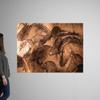 CANVAS ON DEMAND Stone-Age cave Paintings, Chauvet, Wall Decal, Photography Artwork view 2