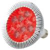 ABI LED Light Bulb for Red Light Therapy, 660nm Deep Red and 850nm Near Infrared Combo, 24W Class view 1