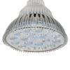 ABI LED Light Bulb for Red Light Therapy, 660nm Deep Red and 850nm Near Infrared Combo, 54W Class view 3