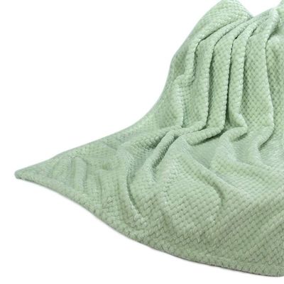 40"x60" Fluffy Warm Light Green Blanket Baby Girl Boy Coral Fleece Throw Blanket Outdoor Indoor Blanket Travel Decorative Blanket Newborn Throw Summer Blanket
