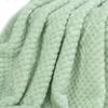 40"x60" Fluffy Warm Light Green Blanket Baby Girl Boy Coral Fleece Throw Blanket Outdoor Indoor Blanket Travel Decorative Blanket Newborn Throw Summer Blanket view 2