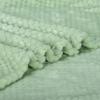 40"x60" Fluffy Warm Light Green Blanket Baby Girl Boy Coral Fleece Throw Blanket Outdoor Indoor Blanket Travel Decorative Blanket Newborn Throw Summer Blanket view 3