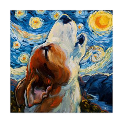 Trademark Fine Art Sing Starry Night by CR Townsen, 24x24