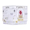 Snow Globe (65mm) - Harry Potter (Marauder's Map) view 4