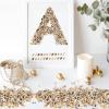 2000 Pcs Tiny Sea Shells for Crafting,Mixed Ocean Beach Mini Seashells Bulk for Home Decorations,Beach Theme Party, Small Shells for Craft, Wedding Decor, Fish Tank Vase Filler(5-12 mm) view 3