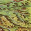 Antiguos Maps - Idaho and Montana Union Pacific Railway Company Map Circa 1893 - Measures 24 in x 48 in (610 mm x 1219 mm) view 4
