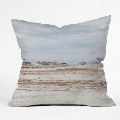 Deny Designs Catherine McDonald Painted Desert Indoor Throw Pillow, 20" x 20"
