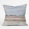 Deny Designs Catherine McDonald Painted Desert Indoor Throw Pillow, 20" x 20" view 1