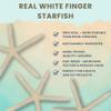Starfish Decor - Star Fish for Craft - 10pk Uniquely Shaped 6-8" White Real Sea Stars - Beach Wedding Decor - Coastal Party Decorations view 2