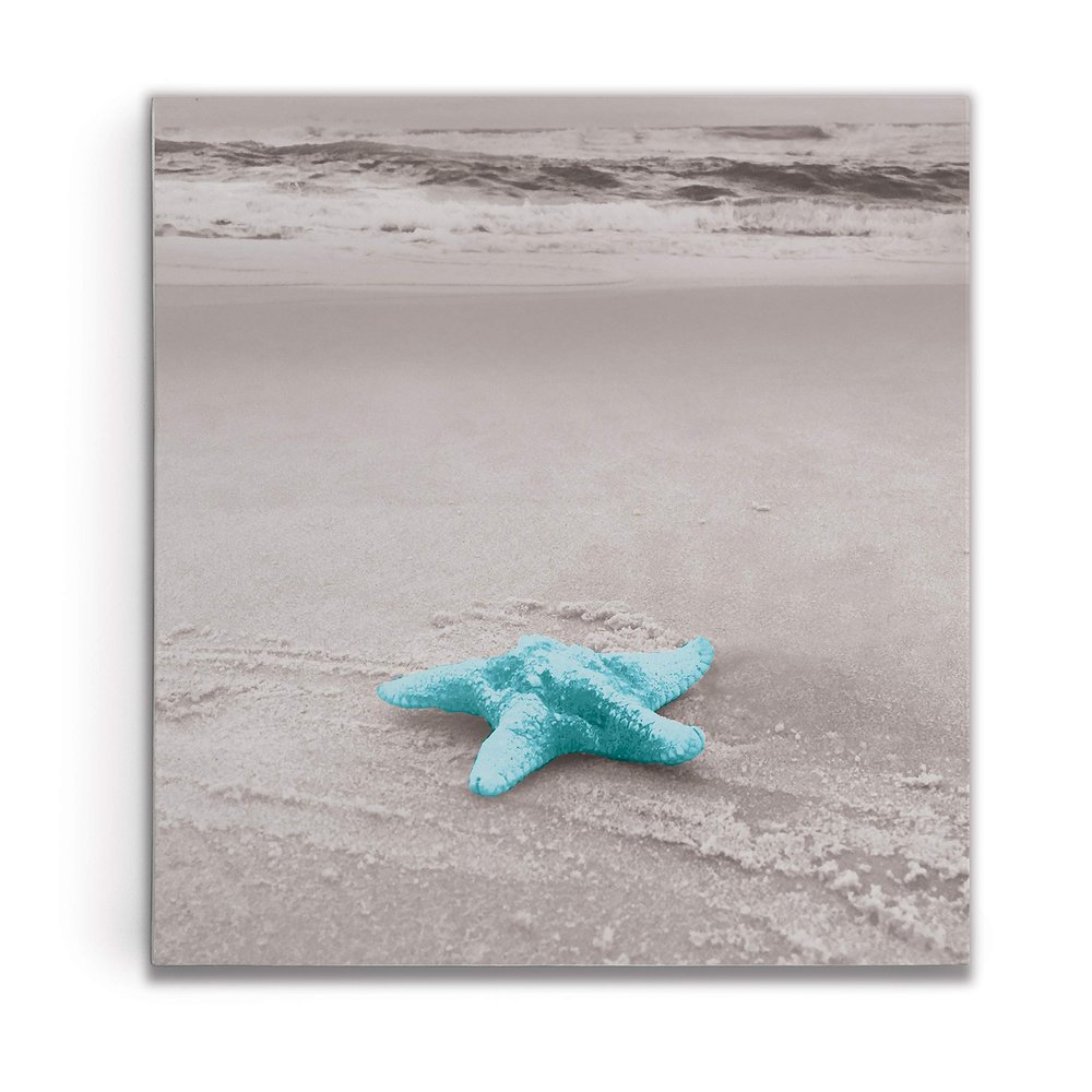 Renditions Gallery Starfish On The Beach Gallery Wrapped Canvas Wall Art, 12x12,