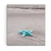 Renditions Gallery Starfish On The Beach Gallery Wrapped Canvas Wall Art, 12x12, view 1