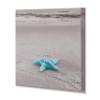 Renditions Gallery Starfish On The Beach Gallery Wrapped Canvas Wall Art, 12x12, view 2