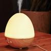 Anixl Home Use Innovative Egg Shape USB Charge Ultrasonic Air Humidifier view 1