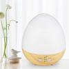 Anixl Home Use Innovative Egg Shape USB Charge Ultrasonic Air Humidifier view 2