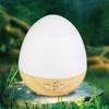 Anixl Home Use Innovative Egg Shape USB Charge Ultrasonic Air Humidifier view 4