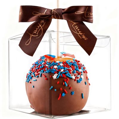 XP-ART 30 Pcs Candy Apple Boxes with Apple Sticks, Clear Caramel Apple Box Plastic Gift Cookie Makaron Cupcake Packaging for Treats, Party Favors, 4" L x 4" W x 4" H