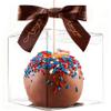 XP-ART 30 Pcs Candy Apple Boxes with Apple Sticks, Clear Caramel Apple Box Plastic Gift Cookie Makaron Cupcake Packaging for Treats, Party Favors, 4" L x 4" W x 4" H view 1