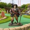 AFD Home Skeleton Pirate view 1