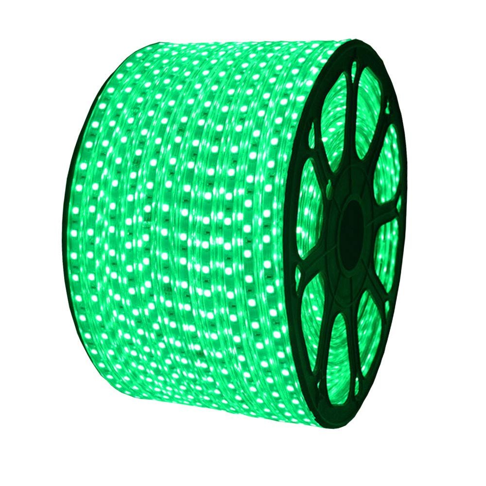 XUNATA AC 110-120V Flexible LED Strip Lights, 60 LEDs/M Waterproof 5050 SMD LED Rope String Light for Party Home Outdoor Indoor Decoration (164ft/50m, Green)