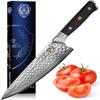 Chef Knife: Best Professional Quality 8 Inch Japanese AUS10 67-Layer High Carbon Damascus Stainless Super Steel Gyuto- Razor Sharp Full Tang Blade w/Hammered Finish & Ergonomic G10 Handle view 1