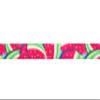 Country Brook Design - Summer Melon Lite Tape Closeout (1/2 Inch, 10 Yards) view 2
