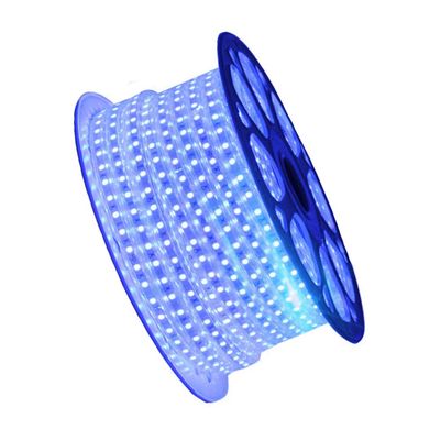 XUNATA AC 110-120V Flexible LED Strip Lights, Waterproof 60 LEDs/M 5050 SMD LED Rope Light for Party Christmas Home Decoration Improvememt(164ft/50m, Blue)