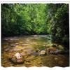 Ambesonne Appalachian Shower Curtain, Oconaluftee River at Smoky Mountains National Park, Cloth Fabric Bathroom Decor Set with Hooks, 69" W x 84" L, Forest Green Yellow view 2