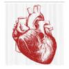 Ambesonne Human Heart Shower Curtain, Warm Tone Monochromatic Realistic Sketch of Cardio Organ Anatomy Print, Cloth Fabric Bathroom Decor Set with Hooks, 69" W x 84" L, Vermilion and White view 2