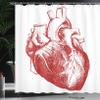 Ambesonne Human Heart Shower Curtain, Warm Tone Monochromatic Realistic Sketch of Cardio Organ Anatomy Print, Cloth Fabric Bathroom Decor Set with Hooks, 69" W x 84" L, Vermilion and White view 3