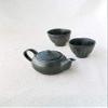 Ichiyo Black Silver view 2