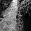 Ichiyo Black Silver view 4