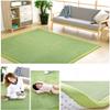 Coral Velvet Area Rugs Play Mat Carpet Crawling Mat for Nursery Baby Toddler Children Kids Room, Yoga Mat Exercise Pads (Light Green, 6.6 ft x 6.6 ft) view 2