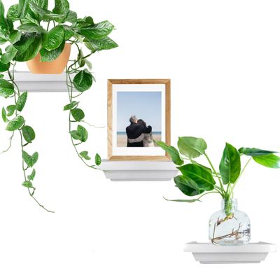 Ninefold Design Small Shelves Set of 3 | 6 in x 4 in | Decorative Mini Shelves| Wall Mounted Shelves for Bathroom, Living Room, Kitchen, Bedroom, and Office