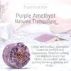 4 Sleep Aid Crystals and Healing Stones. Protection and Anxiety Relief Gift. (Amethyst, Moonstone, Lepidolite, Howlite) Meditation Healing Crystals for Stress Relief, Relaxation, Restful Sleep view 4