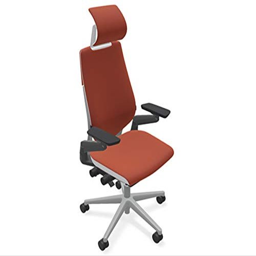 Steelcase Gesture Office Desk Task Chair with Headrest Plus Lumbar Support Cogent Connect Scarlet Red Fabric Standard Platinum Light Frame (Light/Light)