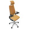 Steelcase Gesture Office Desk Task Chair with Headrest Plus Lumbar Support and Hard Floor Soft Casters Cogent Connect Tangerine Fabric Low Platinum Light Frame (Light/Light) view 1