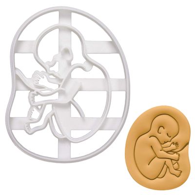 20-week Fetal Development cookie cutter, 1 piece - Bakerlogy