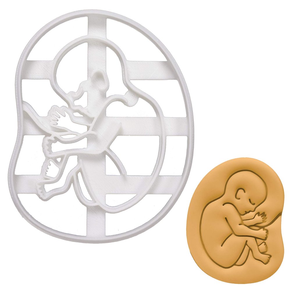 20-week Fetal Development cookie cutter, 1 piece - Bakerlogy