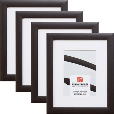 Craig Frames Contemporary, 20 x 30 Inch Brazilian Walnut Brown Picture Frame Matted to Display a 16 x 24 Inch Photo, Set of 4